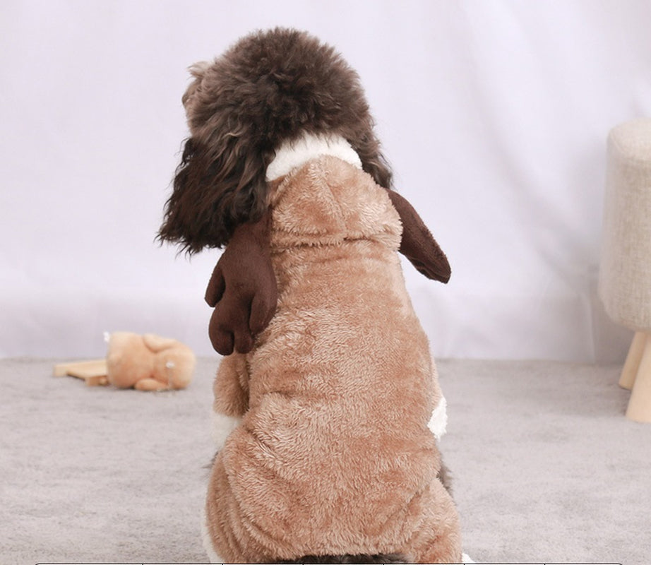 Autumn and Winter Transformed into Dog Pet Costumes