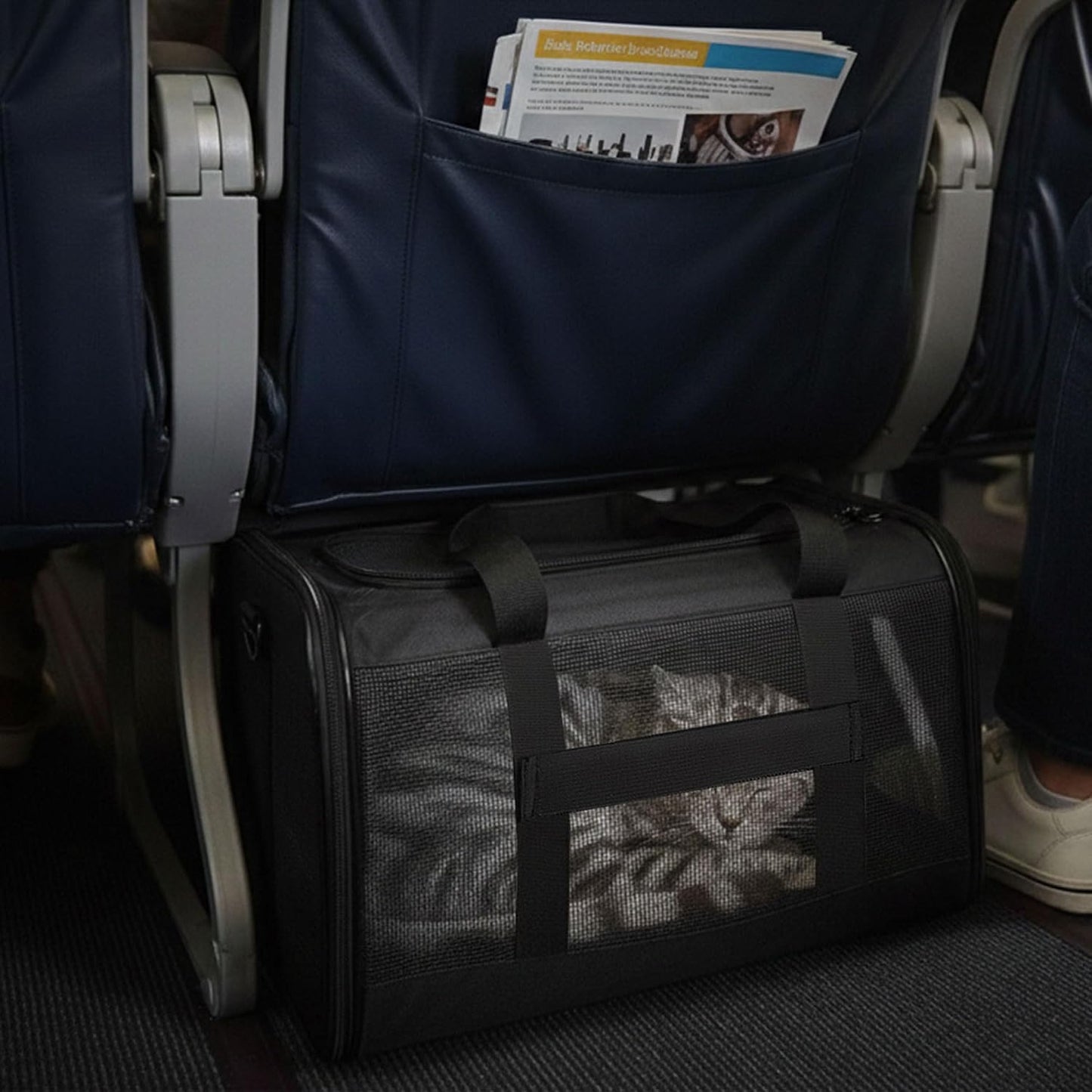 Conlun Katzenboxe Flugzeugtauglich, Weichseitige Hundetransportbox Mit Innenleine, Transport Für Kleine Bis Mittelgroße Katzen Und Welpen Bis 7 Kg, Zusammenklappbare Reisetasche -Türkis,M