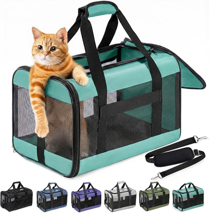 Conlun Katzenboxe Flugzeugtauglich, Weichseitige Hundetransportbox Mit Innenleine, Transport Für Kleine Bis Mittelgroße Katzen Und Welpen Bis 7 Kg, Zusammenklappbare Reisetasche -Türkis,M