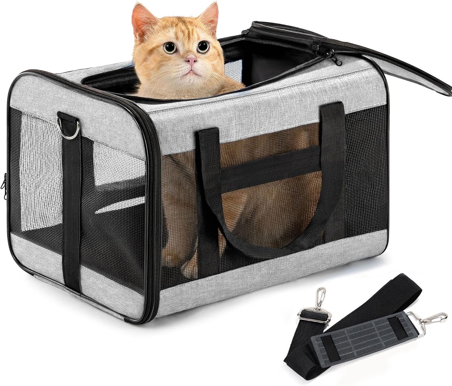 Conlun Transportbox Katze M, Flugzeugtaugliche Katzentransportbox Bis 7Kg | Grau Katzentransporttasche Mit Innerer Sicherheitsschnalle, Ideal Als Katzenkorb Transport Für Reise, Auto Und Flugzeug